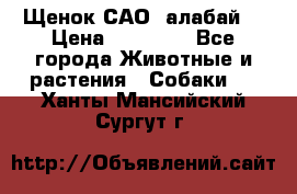 Щенок САО (алабай) › Цена ­ 10 000 - Все города Животные и растения » Собаки   . Ханты-Мансийский,Сургут г.